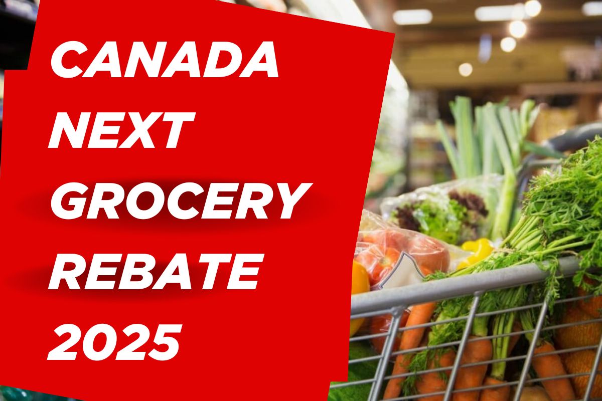 Canada Next Grocery Rebate 2025 New Payment Dates Fact Check